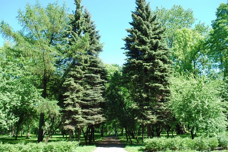 Парк Екатерингоф